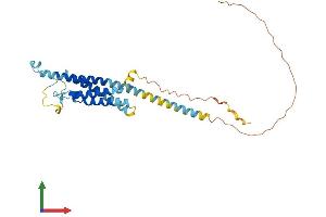 AlphaFold protein structure predicition of Mouse Recombinant Ms4a1 Protein, UniprotID P19437
