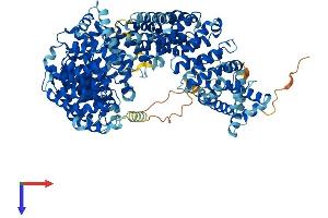 AlphaFold protein structure predicition of Mouse Recombinant Ipo7 Protein, UniprotID Q9EPL8