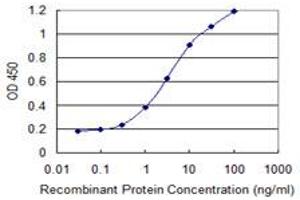 Detection limit for recombinant GST tagged PHF7 is 0. (PHF7 anticorps  (AA 258-357))