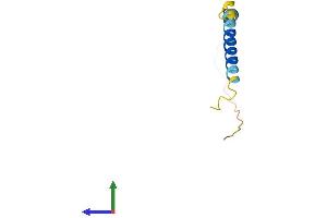 AlphaFold protein structure predicition of Human Recombinant TCEAL9 Protein, UniprotID Q9UHQ7