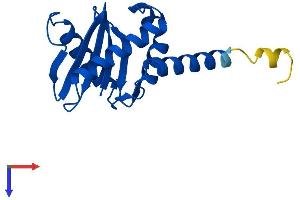 AlphaFold protein structure predicition of Human Recombinant AP1S2 Protein, UniprotID P56377