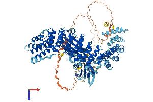 AlphaFold protein structure predicition of Human Recombinant AP1B1 Protein, UniprotID Q10567