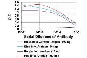 ELISA analysis of CTNNBL1 monoclonal antibody, clone 1E4F5  at 1:10000 dilution. (CTNNBL1 anticorps  (AA 390-557))