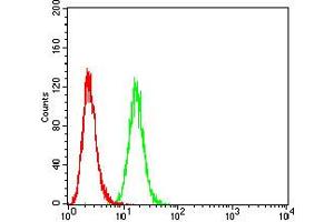 Flow cytometric analysis of Hela cells using P2RY1 mouse mAb (green) and negative control (red). (P2RY1 anticorps)
