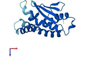 AlphaFold protein structure predicition of Human Recombinant TRAPPC6B Protein, UniprotID Q86SZ2