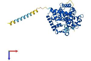 AlphaFold protein structure predicition of Mouse Recombinant Gal3st2 Protein, UniprotID Q6XQH0