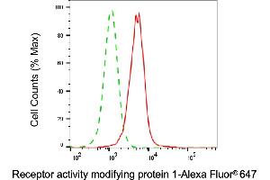 Flow cytometric analysis of Receptor activity modifying protein 1 expression in HepG2 cells using Receptor activity modifying protein 1 antibody (ABIN7800151), 1:2,000). (Recombinant RAMP1 anticorps)