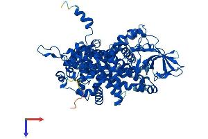 AlphaFold protein structure predicition of Human Recombinant ACOX2 Protein, UniprotID Q99424