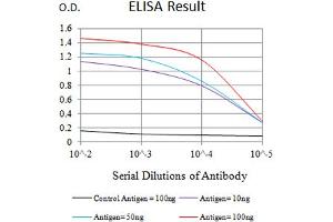 anti-Hepatitis A Virus Cellular Receptor 2 (TIM 3) (AA 224-301) antibody
