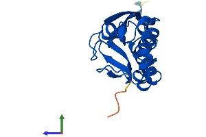 AlphaFold protein structure predicition of Human Recombinant DESI1 Protein, UniprotID Q6ICB0