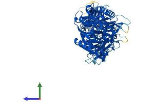 AlphaFold protein structure predicition of Mouse Recombinant Padi4 Protein, UniprotID Q9Z183