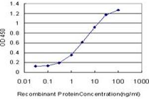 Detection limit for recombinant GST tagged LDB3 is approximately 0. (LIM Domain Binding 3 Protein anticorps  (AA 1-283))
