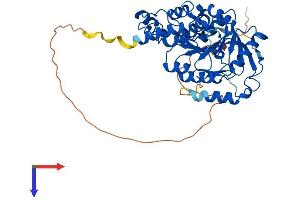AlphaFold protein structure predicition of Human Recombinant MGAT2 Protein, UniprotID Q10469
