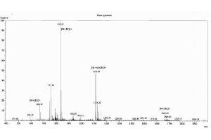 Vasoactive Intestinal Peptide (Vip) peptide (Ovalbumin)