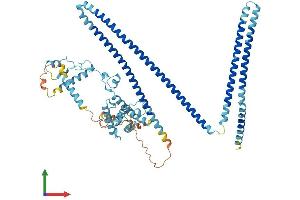 AlphaFold protein structure predicition of Mouse Recombinant Ccdc22 Protein, UniprotID Q9JIG7
