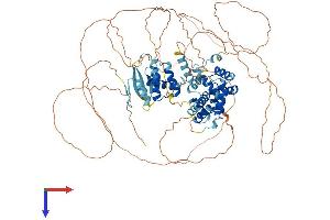 AlphaFold protein structure predicition of Human Recombinant ZHX2 Protein, UniprotID Q9Y6X8