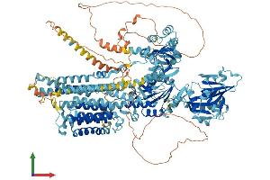 AlphaFold protein structure predicition of Human Recombinant ATP2B2 Protein, UniprotID Q01814