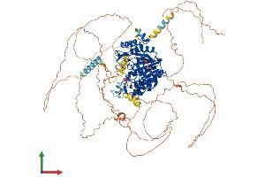 AlphaFold protein structure predicition of Human Recombinant HDAC7 Protein, UniprotID Q8WUI4