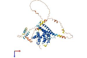 AlphaFold protein structure predicition of Mouse Recombinant Tom1 Protein, UniprotID O88746