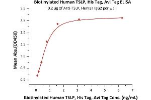 Immobilized A MAb, Human IgG2 at 2 μg/mL (100 μL/well) can bind Biotinylated Human TSLP, His,Avitag (ABIN5954931,ABIN6253633) with a linear range of 0.