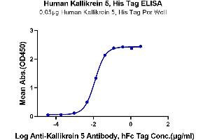 Immobilized Human Kallikrein 5, His Tag at 0. (Kallikrein 5 Protein (KLK5) (AA 23-293) (His tag))