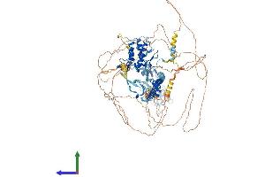 AlphaFold protein structure predicition of Human Recombinant TRIM24 Protein, UniprotID O15164
