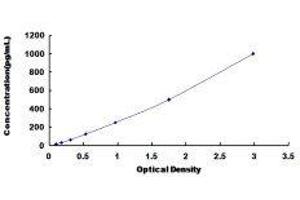 ELISA image for Cardiac Troponin T (cTnT) ELISA Kit (ABIN1169668) (Cardiac Troponin T2 Kit ELISA)