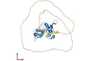 AlphaFold protein structure predicition of Human Recombinant MAGEB6 Protein, UniprotID Q8N7X4