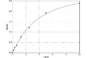A typical standard curve (HOGA1 Kit ELISA)