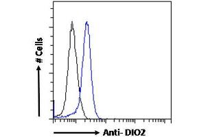 ABIN190862 Flow cytometric analysis of paraformaldehyde fixed MCF7 cells (blue line), permeabilized with 0.