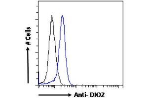 ABIN190862 Flow cytometric analysis of paraformaldehyde fixed MCF7 cells (blue line), permeabilized with 0. (DIO2 anticorps  (Internal Region))
