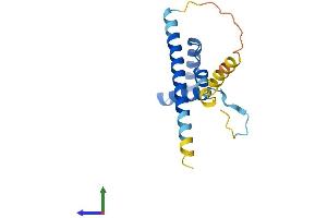 AlphaFold protein structure predicition of Mouse Recombinant Spa17 Protein, UniprotID Q62252