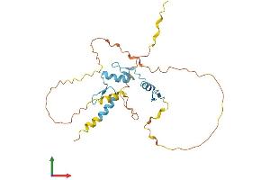 AlphaFold protein structure predicition of Human Recombinant OSR1 Protein, UniprotID Q8TAX0