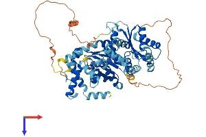 AlphaFold protein structure predicition of Mouse Recombinant Ak5 Protein, UniprotID Q920P5