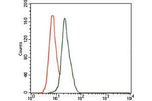 Image no. 3 for anti-delta-Like 4 (DLL4) antibody (ABIN1497856) (DLL4 anticorps)