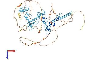 AlphaFold protein structure predicition of Human Recombinant ZNF358 Protein, UniprotID Q9NW07