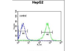 Flow cytometric analysis of HepG2 cells (right histogram) compared to a negative control cell (left histogram).