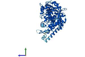 AlphaFold protein structure predicition of Human Recombinant CYP4F22 Protein, UniprotID Q6NT55