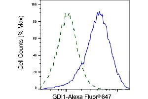 Validation of GDI1 knockdown using flow cytometry. (GDI1 anticorps)