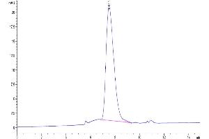 The purity of Human PD-L2 is greater than 95 % as determined by SEC-HPLC.