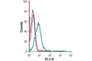 Cell surface detection of GLUT1 in live intact human Jurkat T-cell leukemia cells: (black line) Cells.