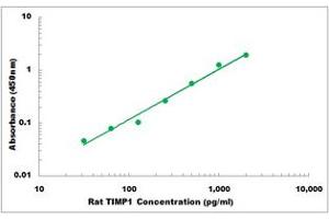 Representative Standard Curve