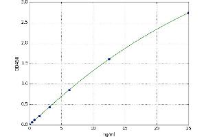 A typical standard curve