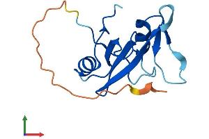 AlphaFold protein structure predicition of Human Recombinant SH2D1B Protein, UniprotID O14796