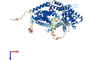AlphaFold protein structure predicition of Human Recombinant TTC39A Protein, UniprotID Q5SRH9