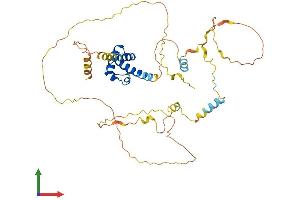 AlphaFold protein structure predicition of Human Recombinant C19orf47 Protein, UniprotID Q8N9M1