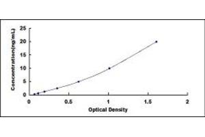Typical standard curve (IFIH1 Kit ELISA)