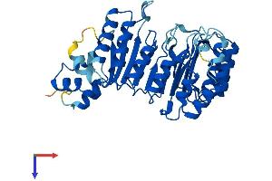 AlphaFold protein structure predicition of Human Recombinant FBXL8 Protein, UniprotID Q96CD0