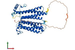 AlphaFold protein structure predicition of Mouse Recombinant Cox15 Protein, UniprotID Q8BJ03