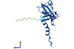 AlphaFold protein structure predicition of Human Recombinant RNASEH2C Protein, UniprotID Q8TDP1